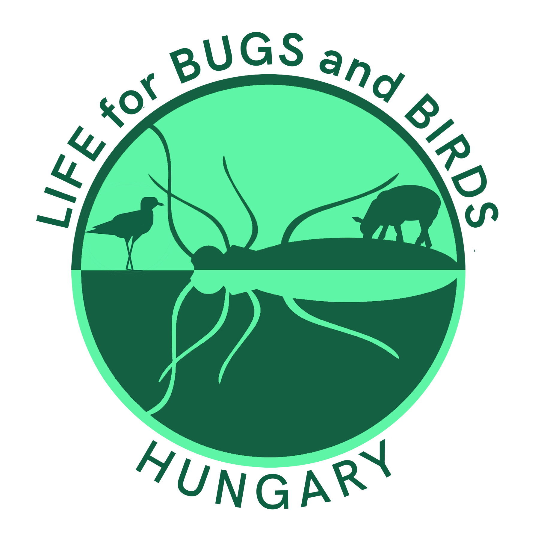LIFE for BUGS & BIRDS